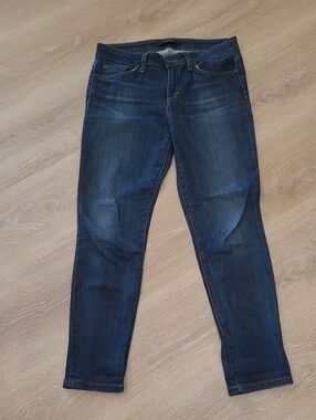 Joe's Jeans Indigo Skinny Jeans